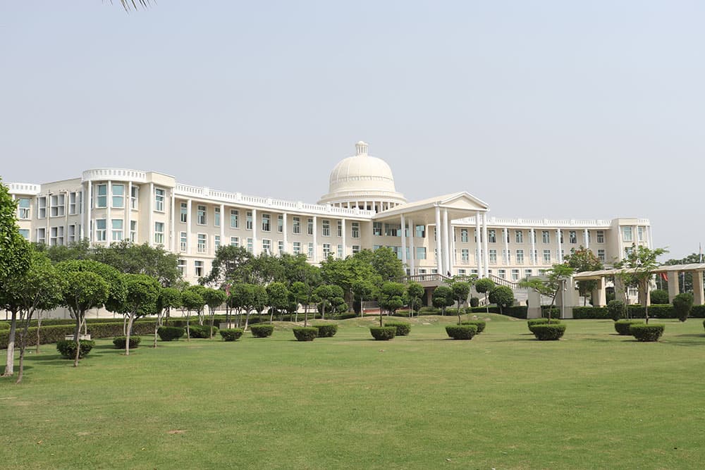 Noida International University